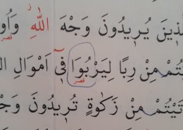 Kako se čita ova riječ u suri Er-Rum, 39 ajet?