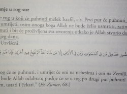 Kada se puhne u rog ostat će oni koje bude Allah odabrao, ko su oni?