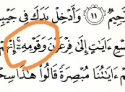 Kako se čita ova riječ u suri En-Neml 12 ajet?