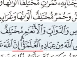 Zašto ovdje ima zaštitni elif na imenici?