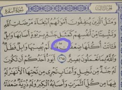 Kako postupiti kada naiđemo na znak u Kur