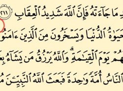 Šta znači ovo malo slovo mim iznad harfa u Kur