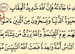 Šta znači ovo malo slovo mim iznad harfa u Kur