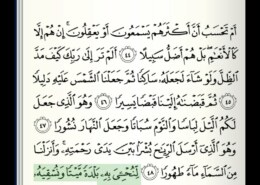 Kako se čita ajet 49 u suri Al-Furkan?