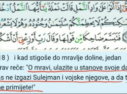 Kako su mravi znali da dolazi Sulejmanova vojska i da se trebaju skloniti?