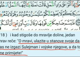 Kako su mravi znali da dolazi Sulejmanova vojska i da se trebaju skloniti?