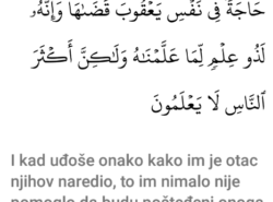 Čega nisu bili pošteđeni, na šta se u ovom ajetu konkretno misli?