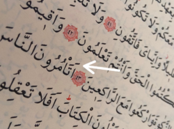 Možete reći kako se čita ova reč, jer ne razumem koja je svrha sukuna na tom mestu?