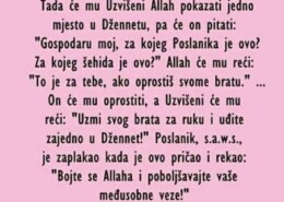 Da li vjerodostojan ovaj hadis?