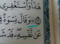 Šta znači ovaj mali “cvijetić” na početku ajeta?