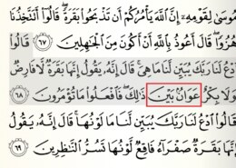 Kako se čita riječ kada je malo slovo mim iznad?